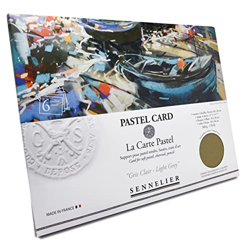 sennelier-la-carte-pastel-40-x-27-9-cm-pochette-6-feuilles-gris-clair image 6