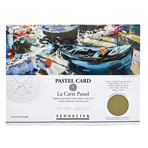 sennelier-la-carte-pastel-40-x-27-9-cm-pochette-6-feuilles-gris-clair image 5