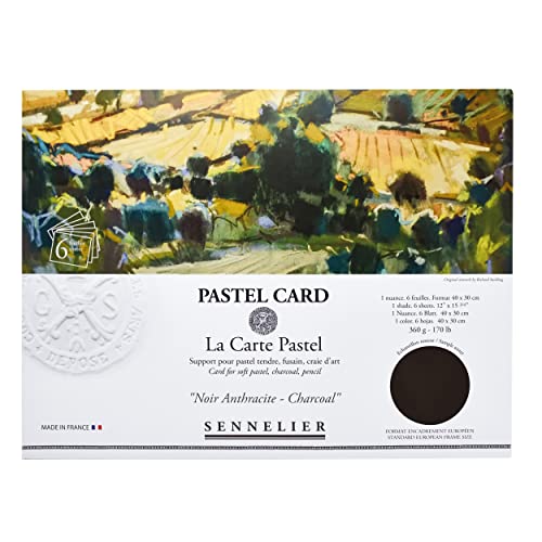 sennelier-la-carte-pastel-40-x-27-9-cm-pochette-6-feuilles-gris-clair image 8