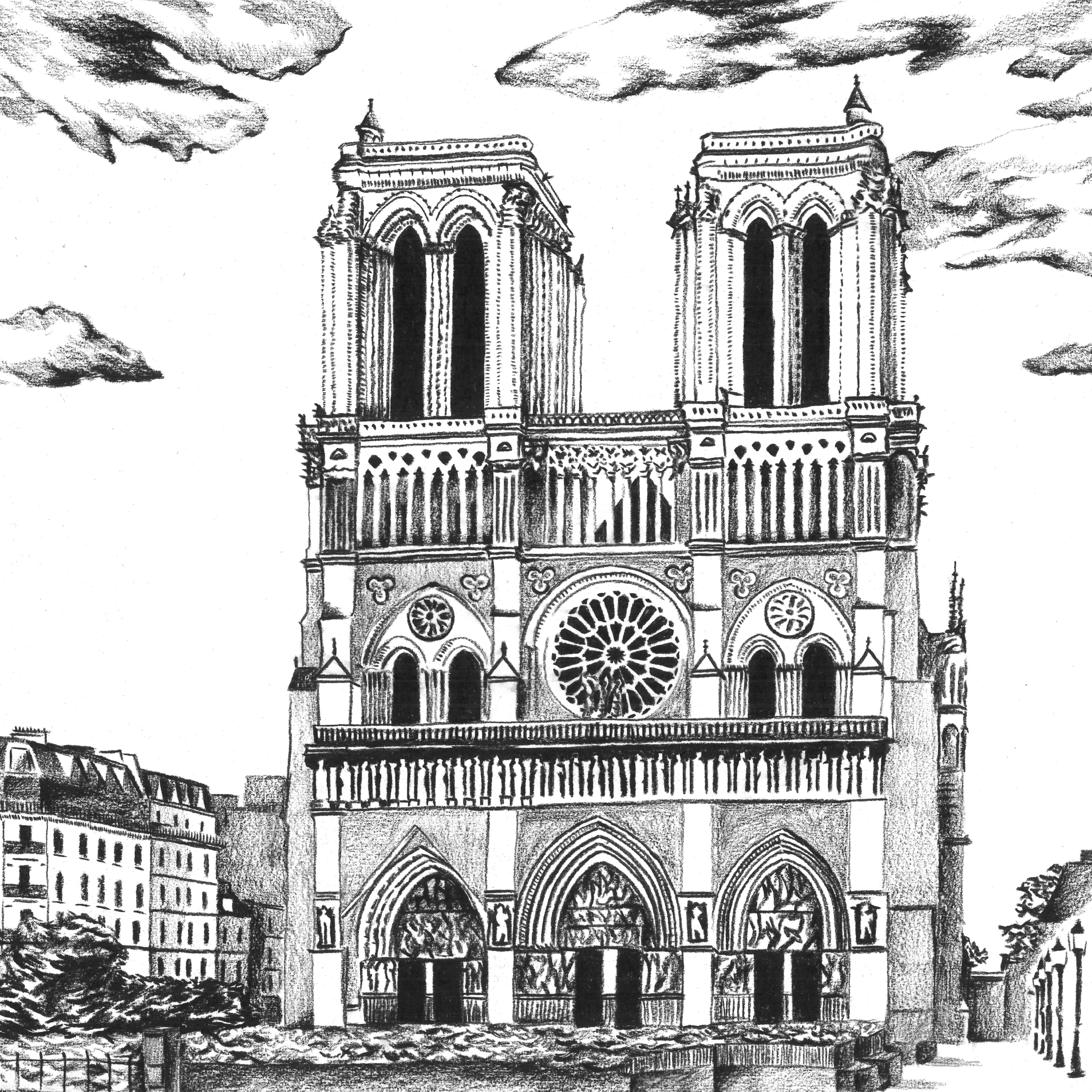 cont-paris-fusain-comprim-assortiment-de-12 image 2